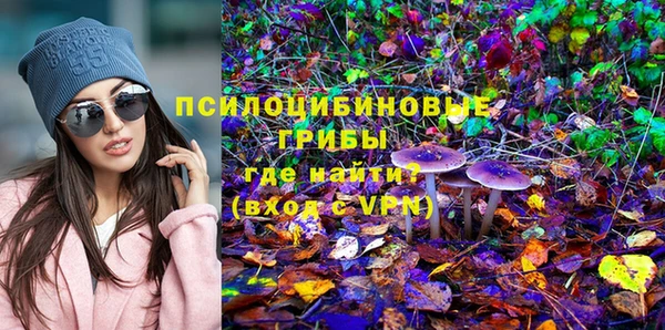 MESCALINE Каменка