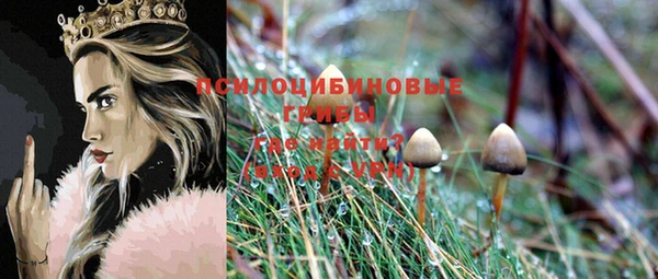 MESCALINE Каменка