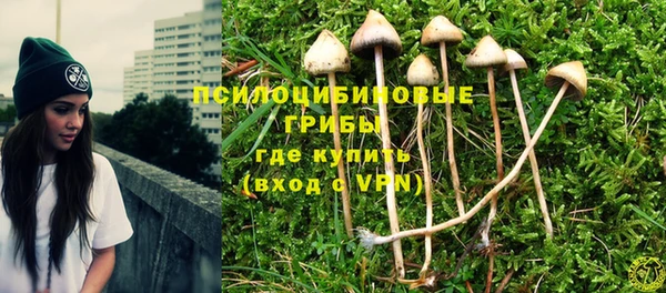 MESCALINE Каменка