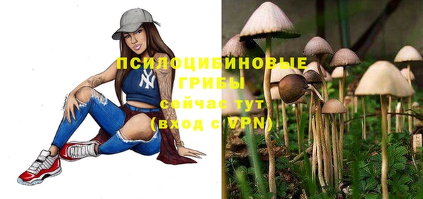 MESCALINE Каменка