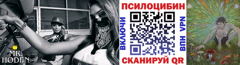 Псилоцибиновые грибы Cubensis  Купить закладки  Гагарин 